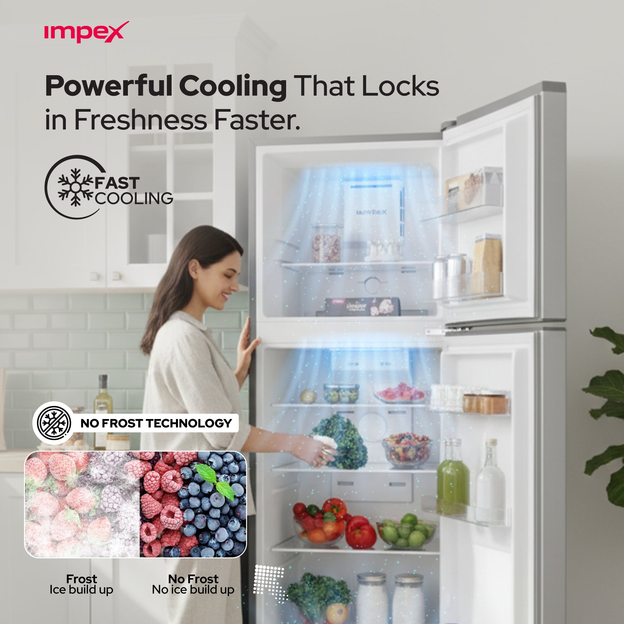 Impex 270L No Frost Inverter Refrigerator IRF250S