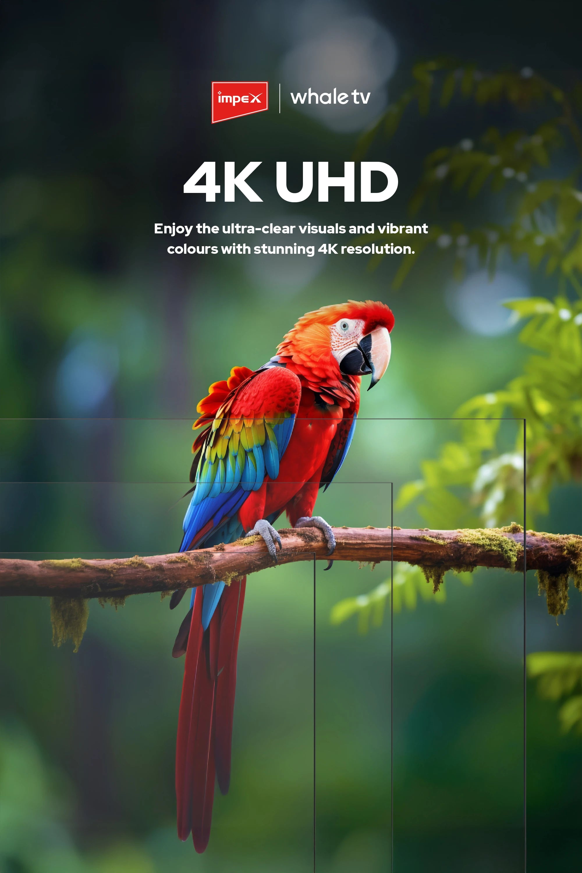 IMPEX 50 inch QLED UHD Smart TV Wios50Q
