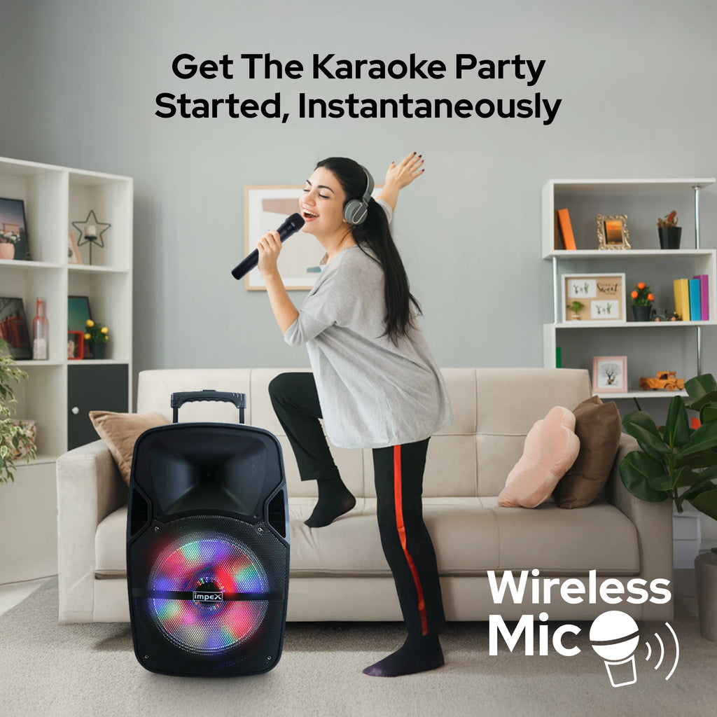 Impex Multimedia Trolley Speaker System 2.0 ST 80A