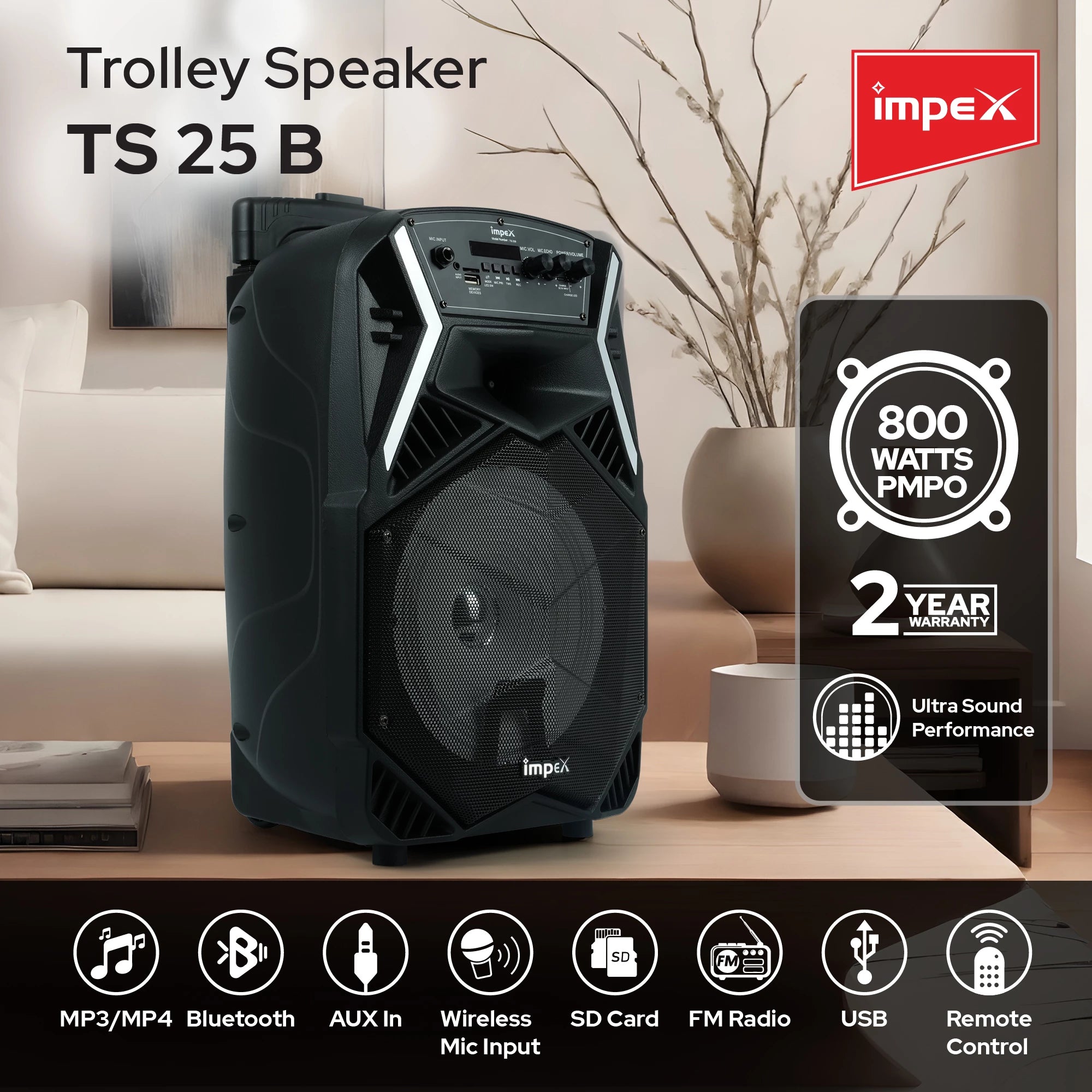 Impex Multimedia Trolley Speaker TS 25B