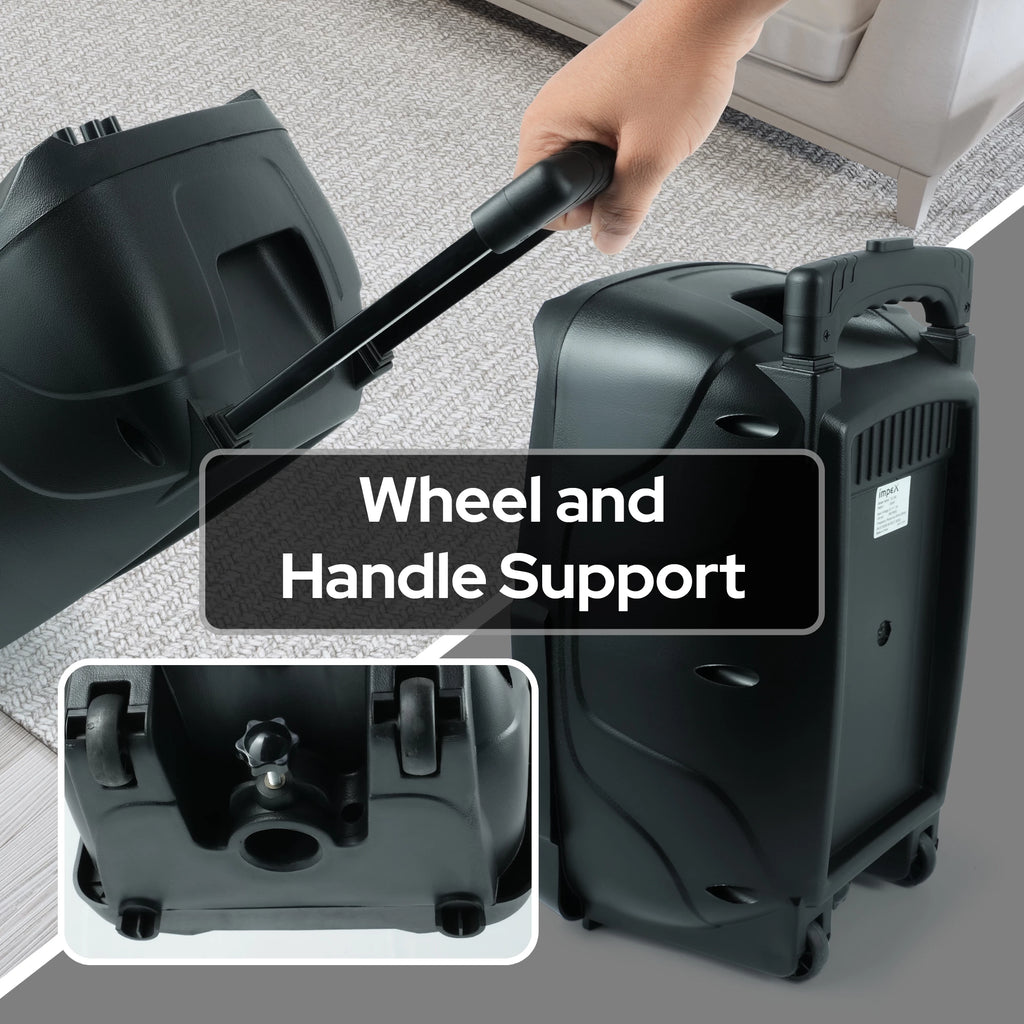 Impex Multimedia Trolley Speaker TS 25B