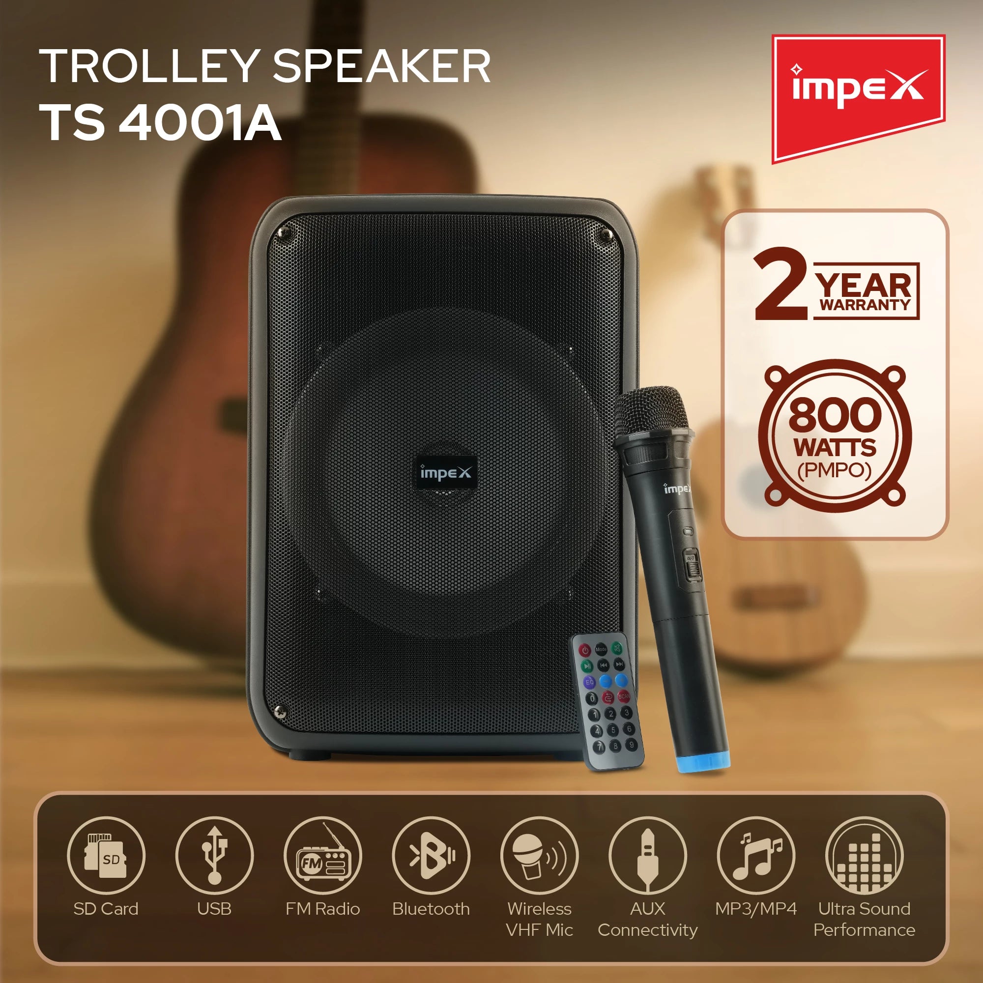 Impex Multimedia Portable Speaker System TS 4001A