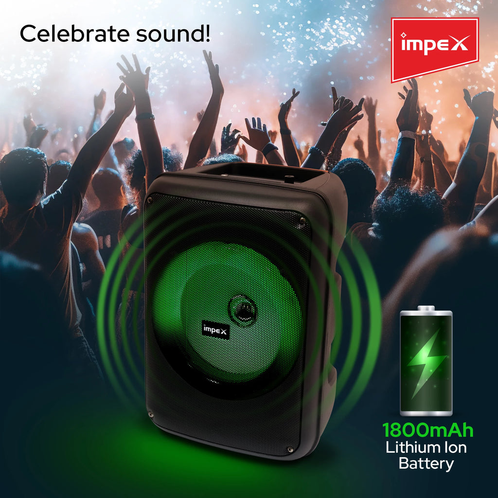 Impex Multimedia Portable Speaker System TS 4001A