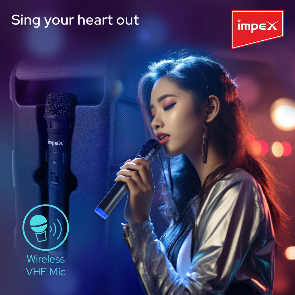Impex Multimedia Portable Speaker System TS 4001A