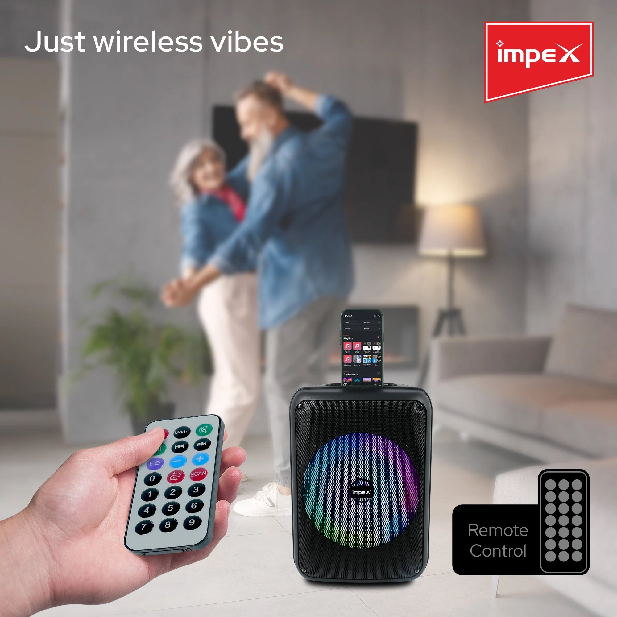 Impex Multimedia Portable Speaker System TS 4001A