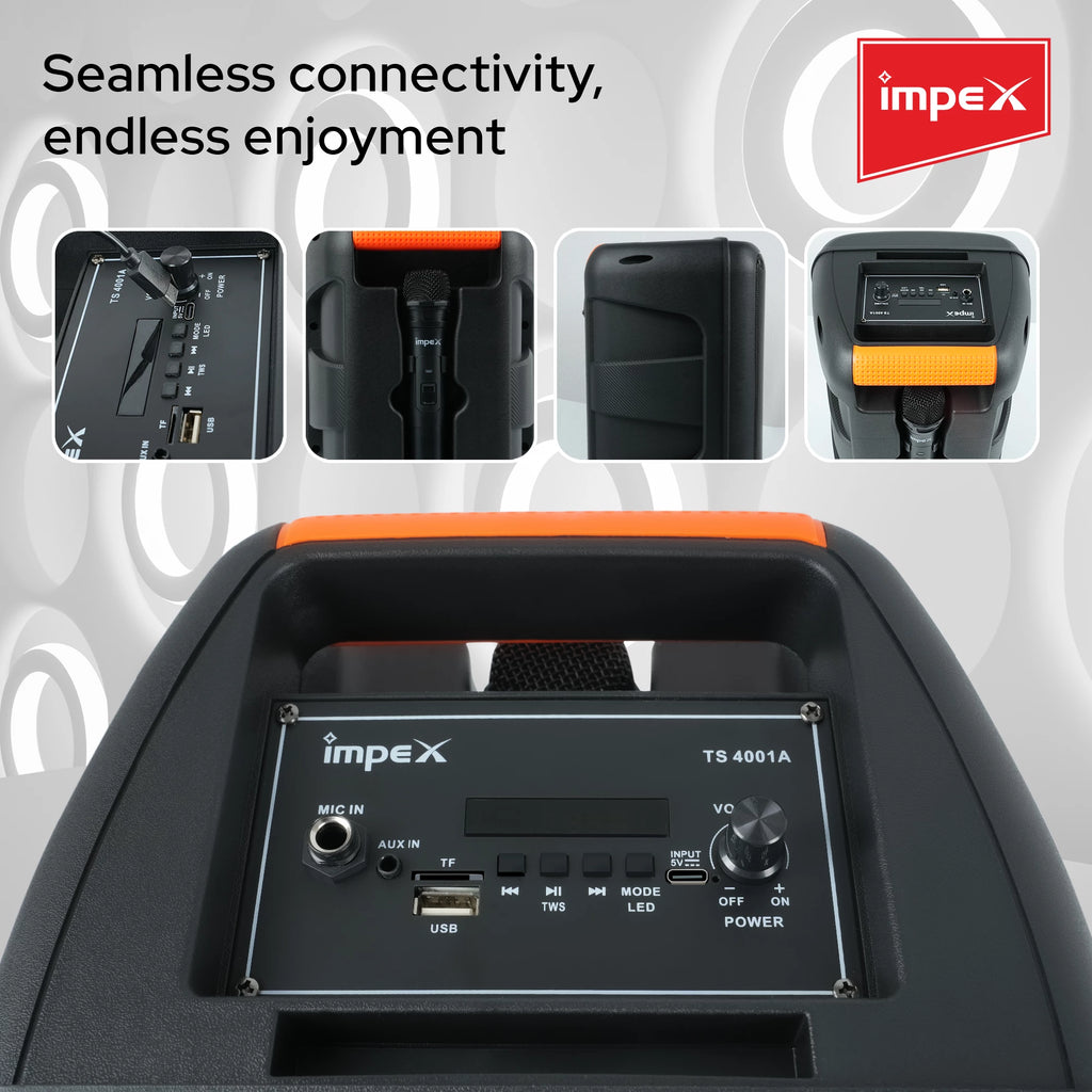 Impex Multimedia Portable Speaker System TS 4001A