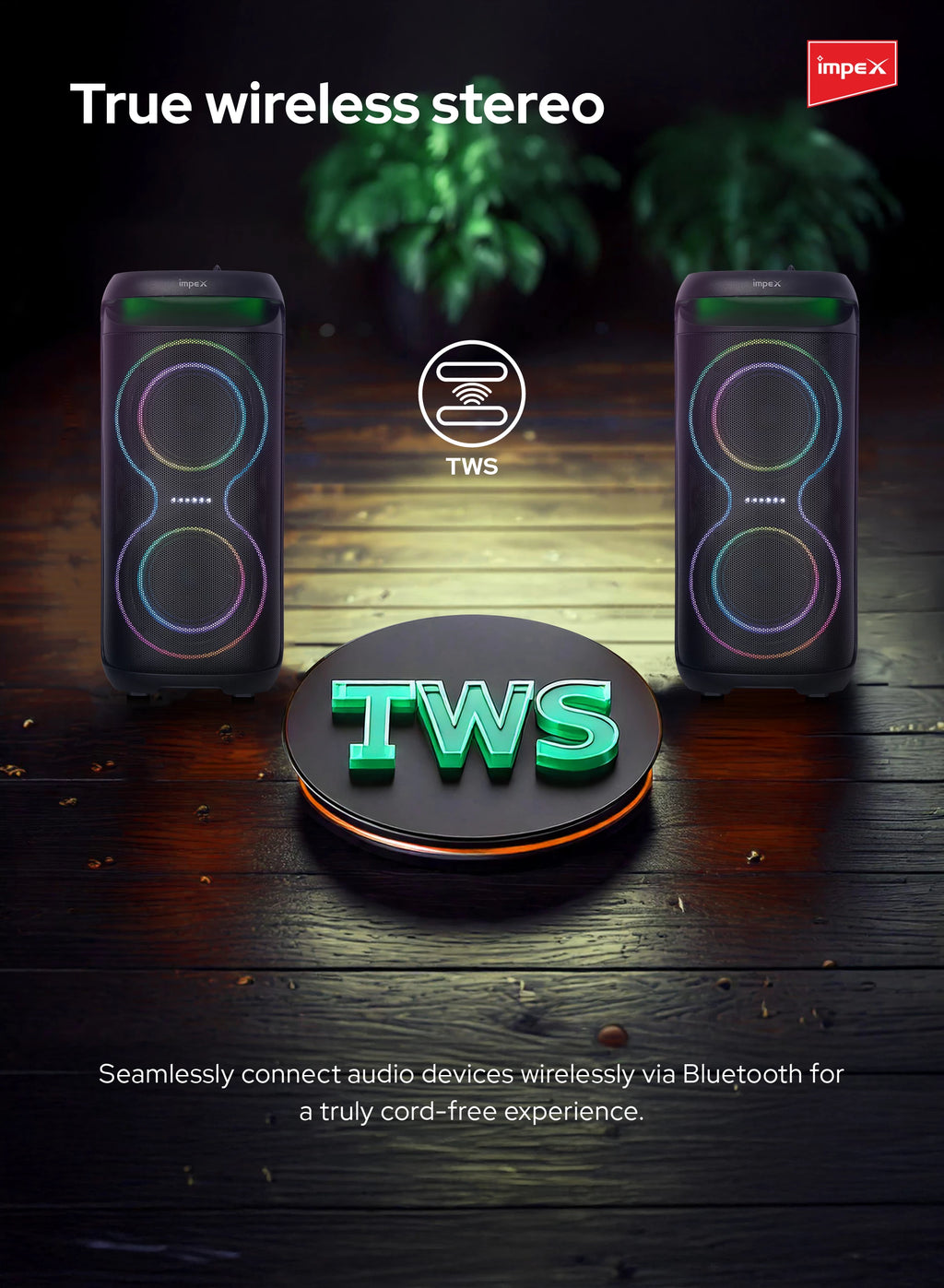 Impex Multimedia Portable Trolley Speaker TS 81